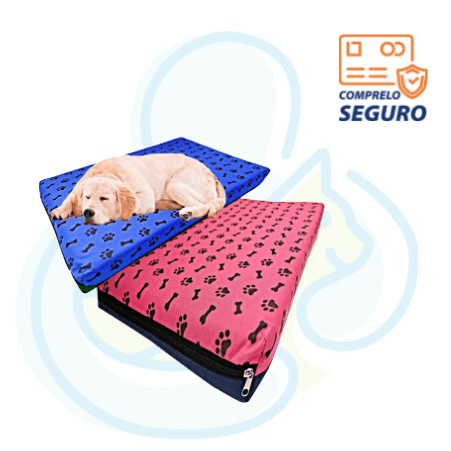 Colchoneta Talla 4